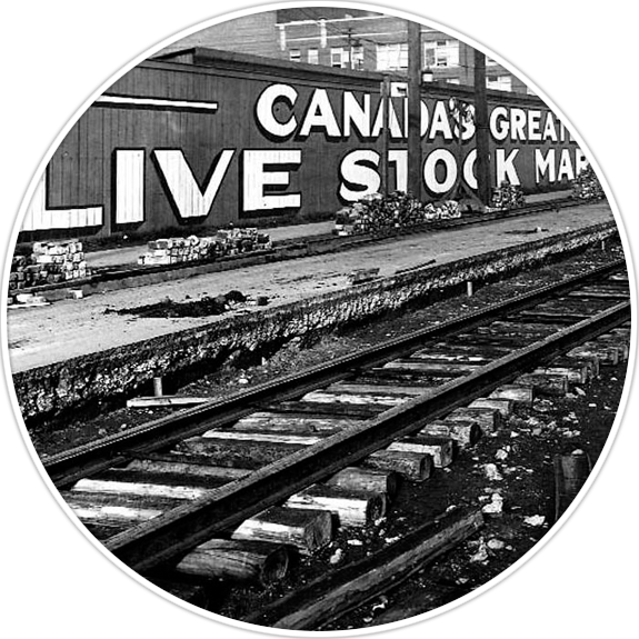 St. Helen's Meat Packers - Located in Toronto's Historic Stockyard District Since the 1950s